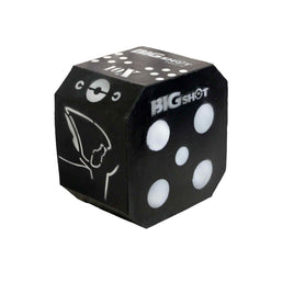 BIGshot Titan 10XS Broadhead Target