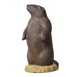 Rinehart Groundhog 3D Target