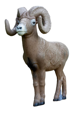 Rinehart 1/2 Scale Signature Blighorn