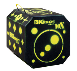 BIGSHOT TITAN 10X 10 X BROADHEAD TARGET