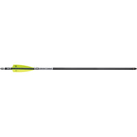 20-inch EVO-X Non-Lighted Center Punch HP Nocks Premium Carbon Crossbow Arrows 6 Pk