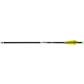 TENPOINT PRO ELITE 400 ALPHA-BRITE ARROWS 20 IN. GREEN 6 PK.