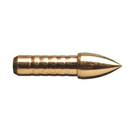 GOLD TIP ACCU-POINT .246 100 GR. 12. PK.