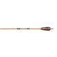 Gold Tip Traditional Arrows 300 4 In. Feathers 1 DZ.