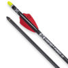 EVO-X Center Punch 16 Carbon Arrows 16in. w/ Alpha-Nock HP .001in. Each