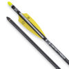 20-inch EVO-X Non-Lighted Center Punch HP Nocks Premium Carbon Crossbow Arrows 6 Pk