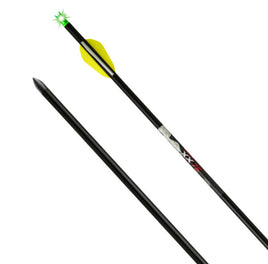 TEN POINT LIGHTED ALPHA BRITE ARROWS ALUMINUM 20 IN. 3 PK.