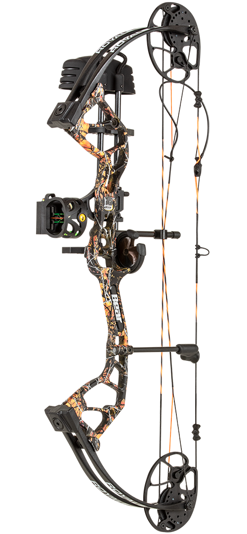 Compound bow and arrow best sale for sale